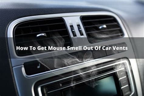 How to Get Mice Out of Car Vents: And Why They Might Be Throwing a Party in There