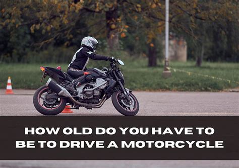 What Do I Need to Drive a Motorcycle, and Why Does It Feel Like Flying a Kite in a Hurricane?